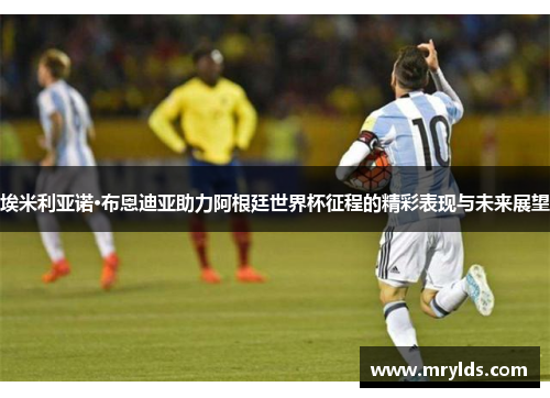 埃米利亚诺·布恩迪亚助力阿根廷世界杯征程的精彩表现与未来展望
