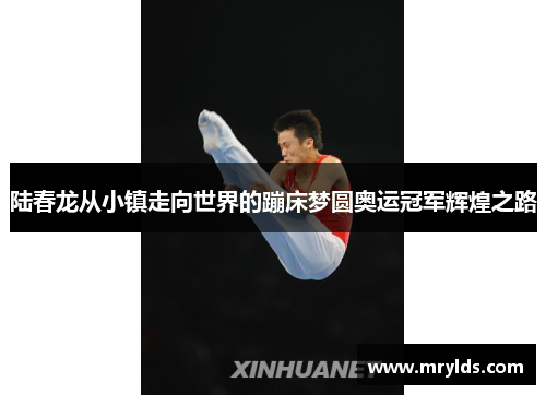 陆春龙从小镇走向世界的蹦床梦圆奥运冠军辉煌之路 陆春龙从小镇走向世界的蹦床梦圆奥运冠军辉煌之路