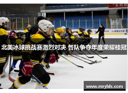 北美冰球挑战赛激烈对决 各队争夺年度荣耀桂冠 北美冰球挑战赛激烈对决 各队争夺年度荣耀桂冠