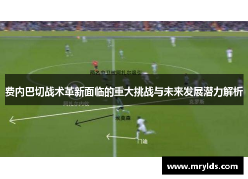 费内巴切战术革新面临的重大挑战与未来发展潜力解析 费内巴切战术革新面临的重大挑战与未来发展潜力解析