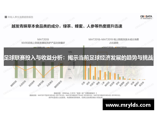 足球联赛投入与收益分析：揭示当前足球经济发展的趋势与挑战